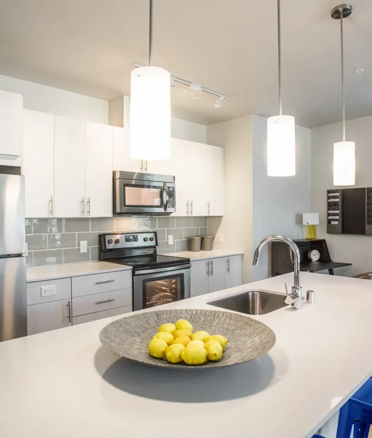 Modern kitchen in an apartment with stainless steel appliances and a white countertop with a bowl of lemons.