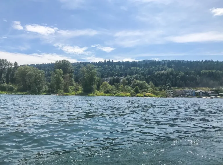 A scenic view of Lake Sammamish State Park with lush green hills and buildings in the background under a clear blue sky.