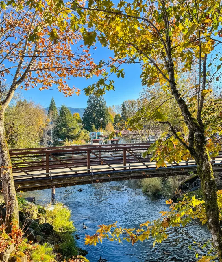 A wooden bridge at the Issaquah Salmon Hatchery spans over a gently flowing creek, surrounded by autumn foliage with yellow and orange leaves under a clear blue sky.
